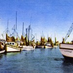 Screening: Veins in the Gulf