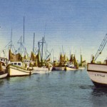 Open Call for Participation